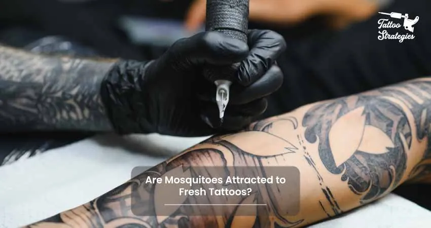 Are Mosquitoes Attracted to Fresh Tattoos - Tattoo Strategies