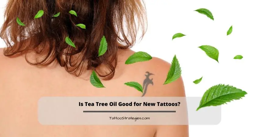 Is Tea Tree Oil Good for New Tattoos?