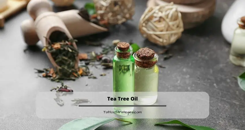 Tea Tree Oil - Tattoo Strategies