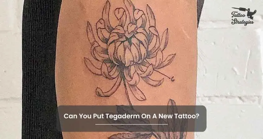 Can You Put Tegaderm On A New Tattoo - Tattoo Strategies