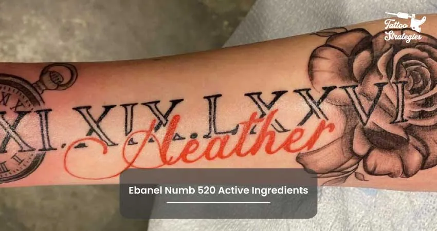 Ebanel Numb 520 Active Ingredients - Tattoo Strategies