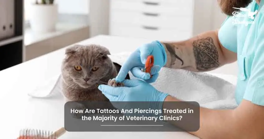 How Are Tattoos And Piercings Treated in the Majority of Veterinary Clinics - Tattoo Strategies