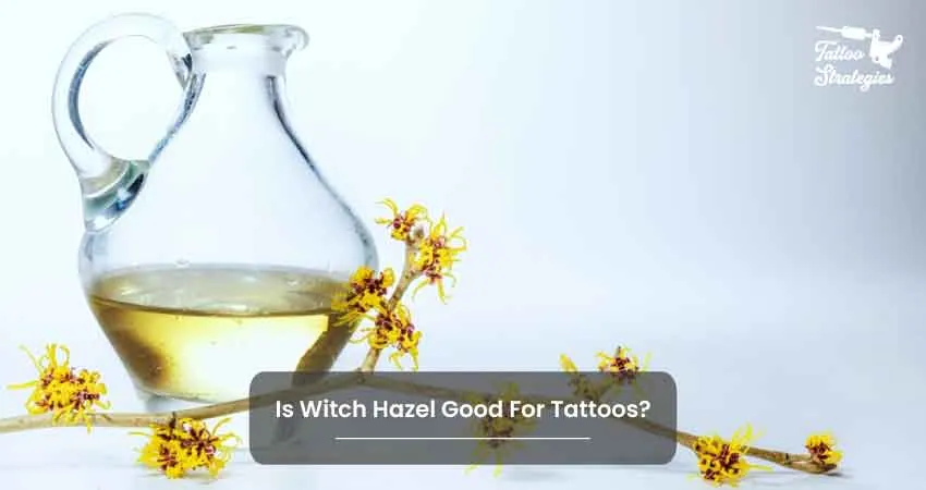 Is Witch Hazel Good For Tattoos - Tattoo Strategies