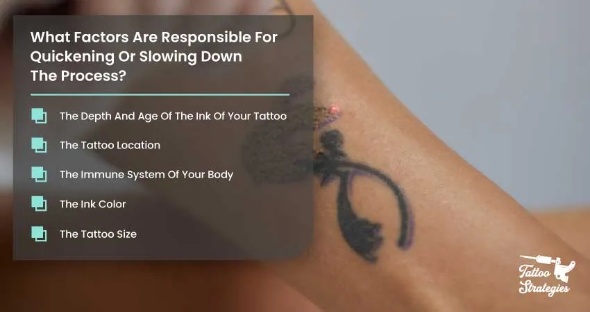 What Factors Are Responsible For Quickening Or Slowing Down The Process - Tattoo Strategies