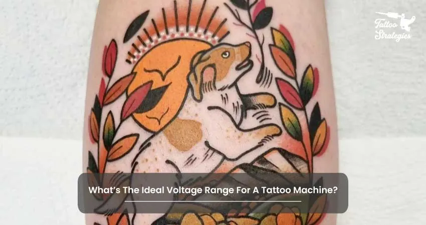 What Voltage Should A Tattoo Liner Run At 