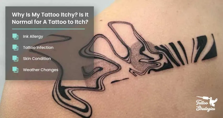 Why Is My Tattoo Itchy Is It Normal for A Tattoo to Itch - Tattoo Strategies