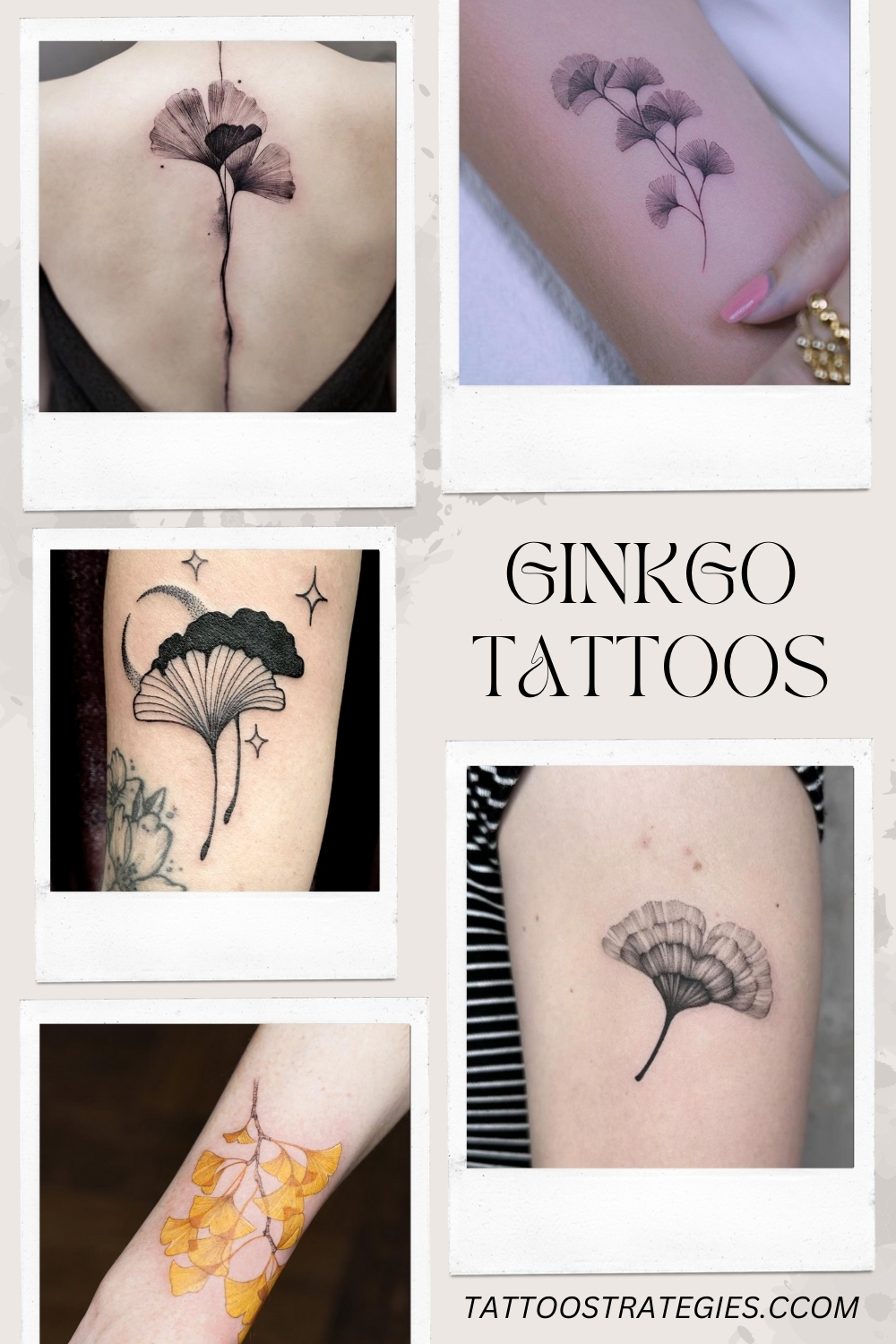 Ginkgo TattooS - Tattoo Strategies
