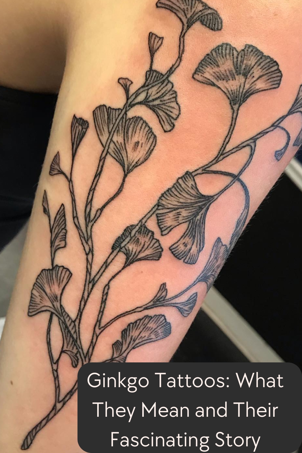 Ginkgo Tattoos What They Mean and Their Fascinating Story - Tattoo Strategies